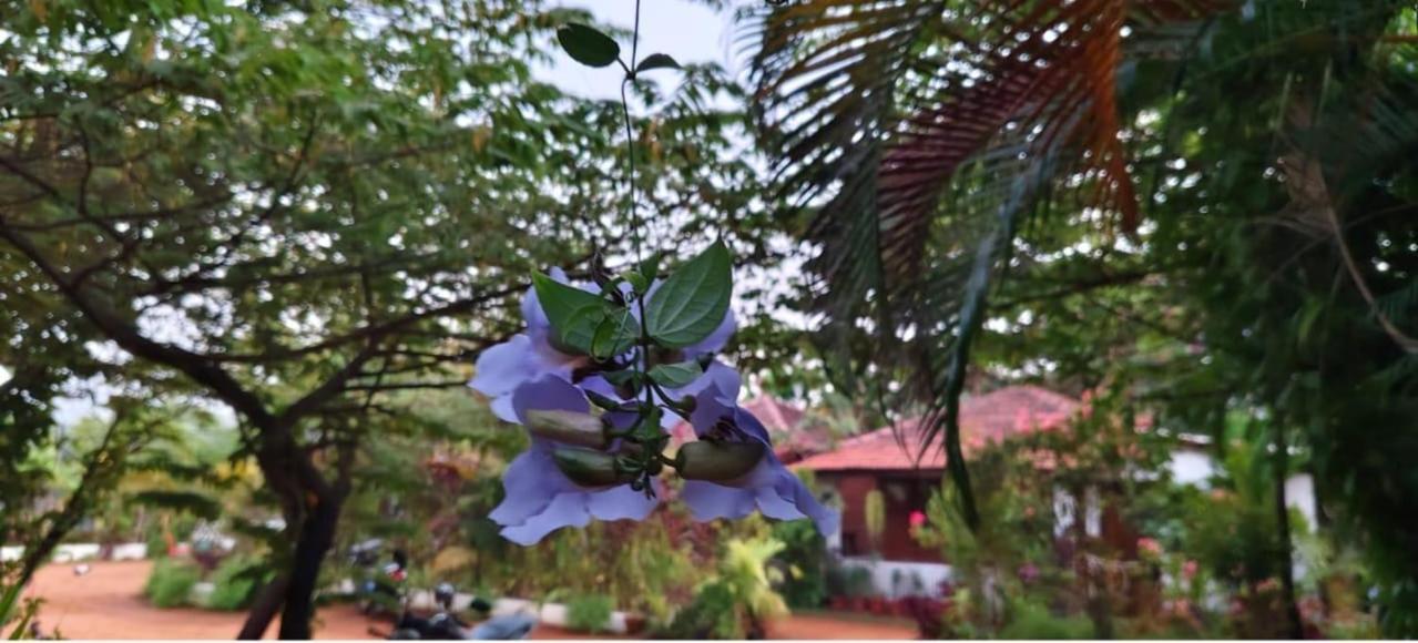Niyati Home Stay Gokarna (Karnataka) Exterior foto